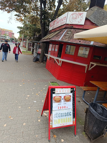 Comentarii opinii despre Westburger