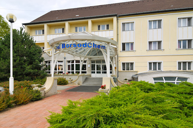Hotel BorsodChem és IKON Bar & Restaurant - Vendéglátás