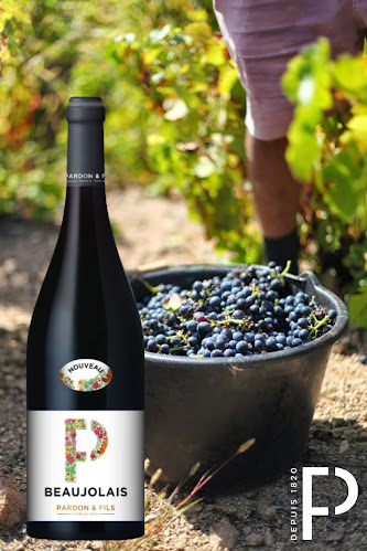 Budapest, Nánási út 47-49, 1031