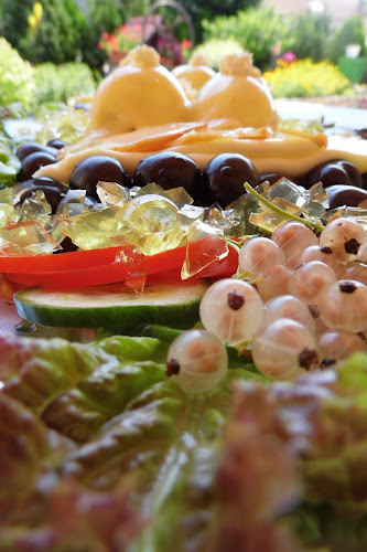 Tomasso Pizzéria - Vendéglátás