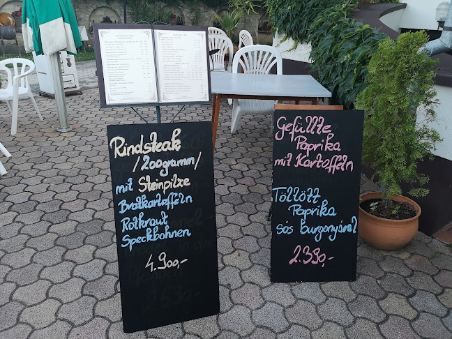 Comentarii opinii despre János Pince Étterem