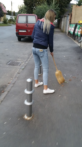 Szilfa Csemege - Nyíregyháza