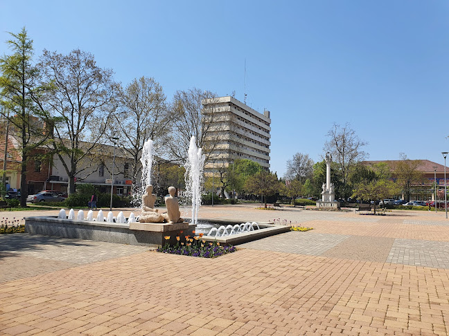 Mr. Taqi - Vendéglátás