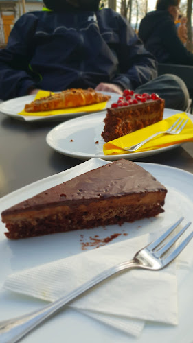 Maurus Étterem és Borbár - Vendéglátás