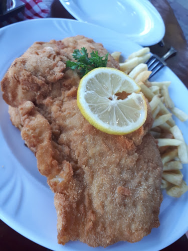 Comentarii opinii despre Vadvirág Csárda