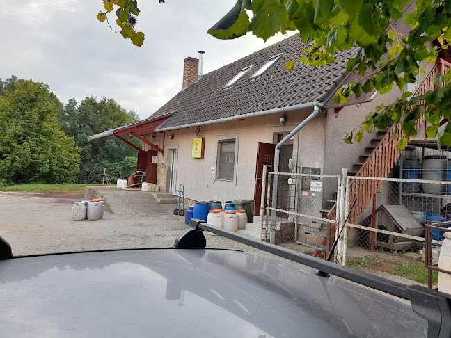 Opinii despre Döbröközi Szeszfőzde în Döbrököz - Vendéglátás