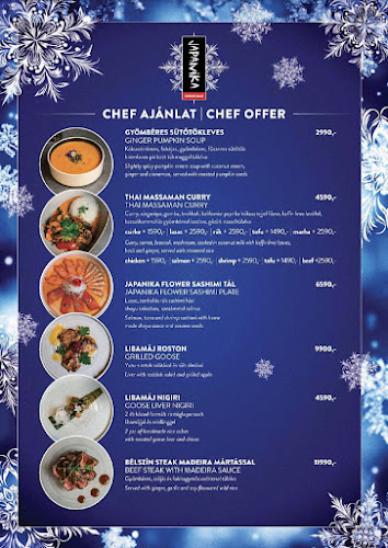 Comentarii opinii despre Japanika