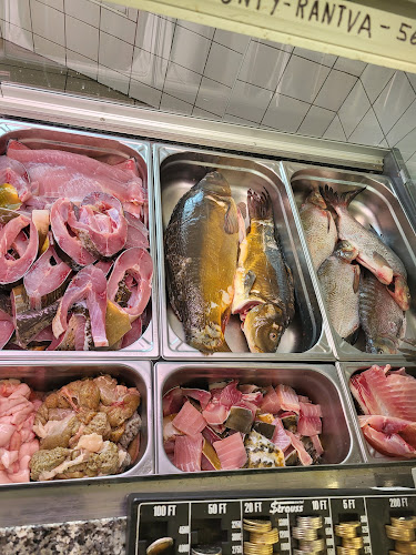 Halbolt - Szilágyi László - Csorna