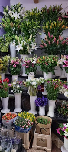 Szemlics Virág Kft - Budapest