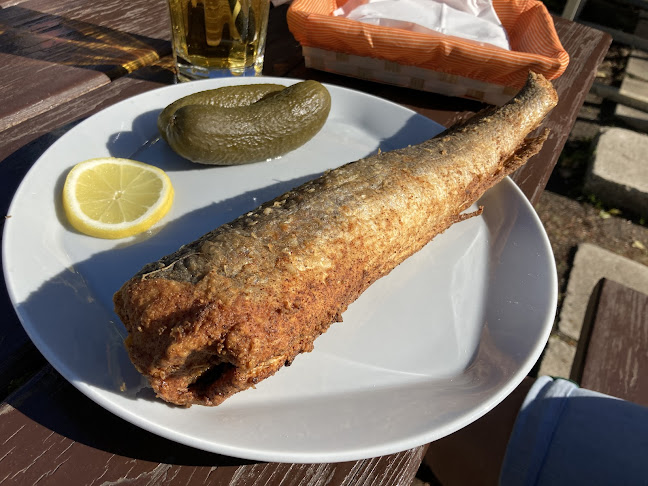 Panoráma büfé - Vendéglátás