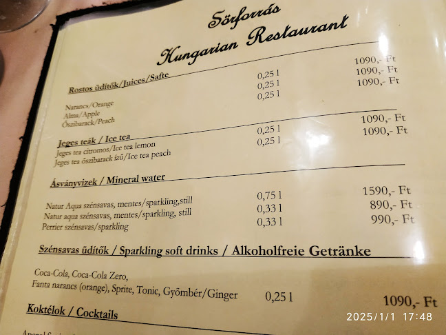 Sörforrás étterem - Budapest