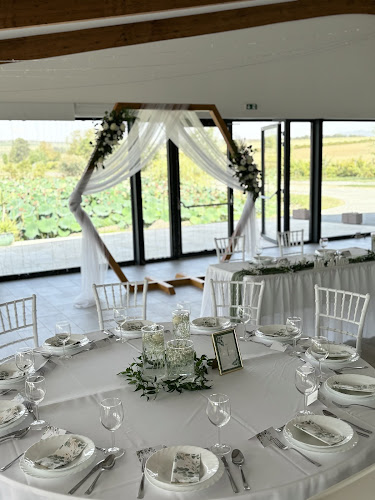 Tóth Gasztro Team - Vendéglátás