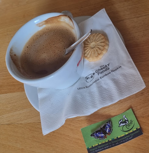 Comentarii opinii despre Grand Café