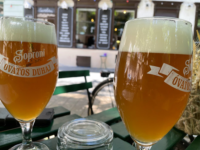 Comentarii opinii despre Csendes Társ - WineBar & Garden