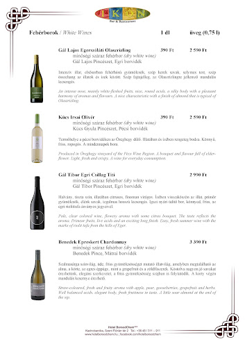 Hotel BorsodChem és IKON Bar & Restaurant - Kazincbarcika