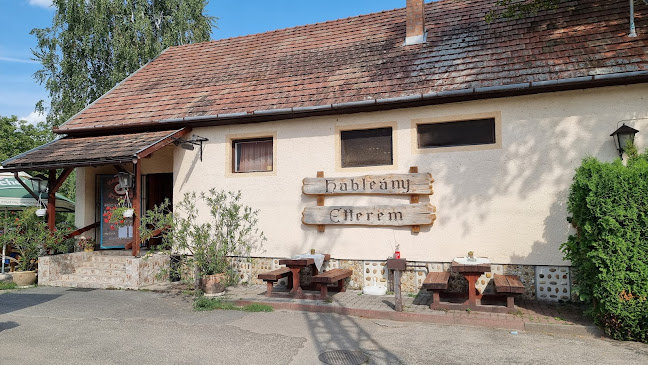 Hableány étterem - Leányfalu