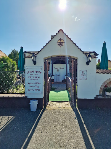 Comentarii opinii despre János Pince Étterem