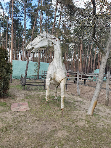 Paripa Csárda - Debrecen