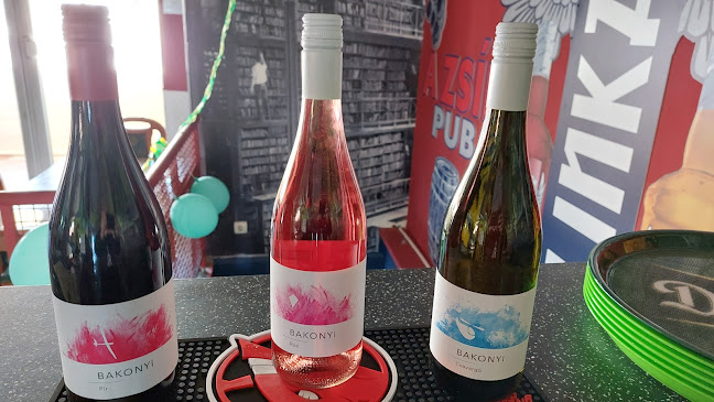 Comentarii opinii despre A Zsìr pub