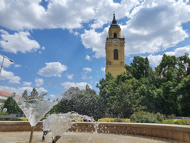 Comentarii opinii despre Holler etterem