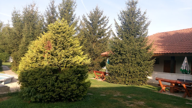 Opinii despre Kisparaszt kocsma în Dég - Vendéglátás