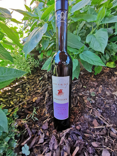 Opinii despre Ricsó Wine kft.-Bor webáruház în Érd - Vendéglátás