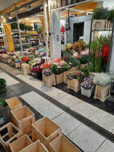 Budapesti Virágpiac - Nagykereskedelem - Budapest