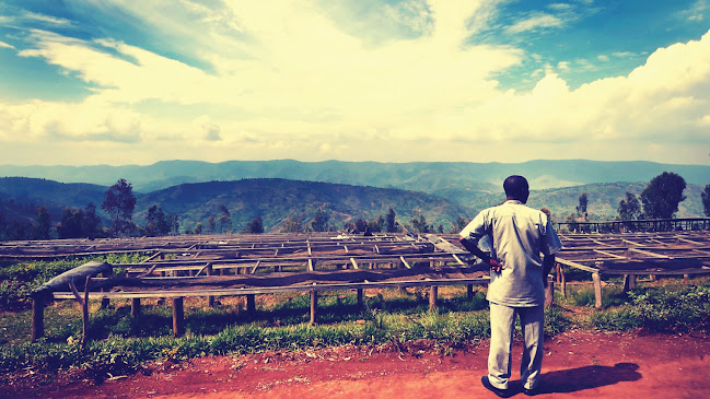 Beanlight Specialty Kávé Pörkölő