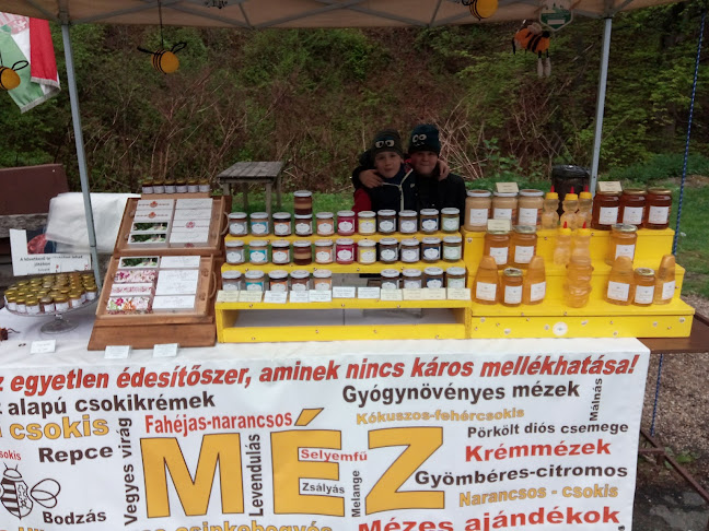 Parádsasvár Külterület, 006. hrsz. - 24-es út melletti parkoló, elágazó, 3242