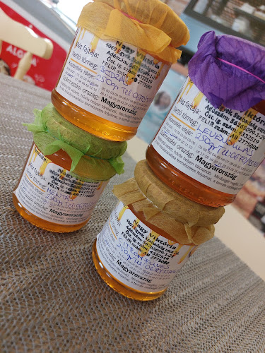 Comentarii opinii despre Mandala Garden Caffe