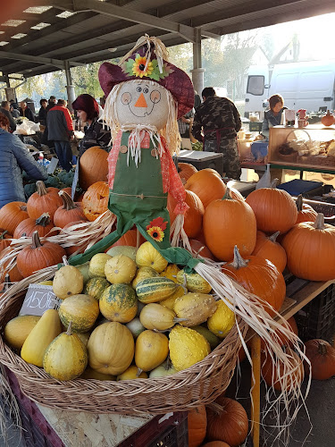 Hódmezővásárhely, Szabadság tér 96, 6800