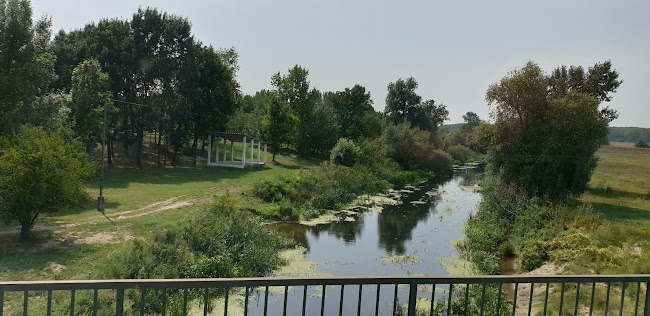 Opinii despre Vadrózsa vendéglő în Rábaszentmihály - Vendéglátás