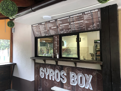 Gyros Box