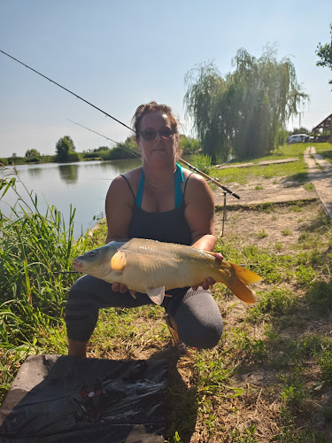 Comentarii opinii despre Sapi Horgásztó