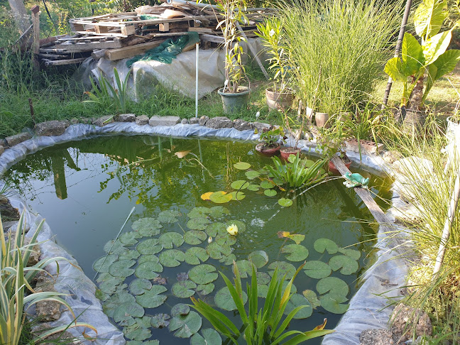 Fecskefészek Söröző - Tömörkény