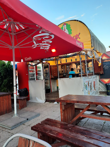 Comentarii opinii despre Csibe Box