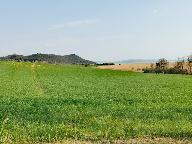 Nagyi Kertje Étterem és Teaház - Vendéglátás