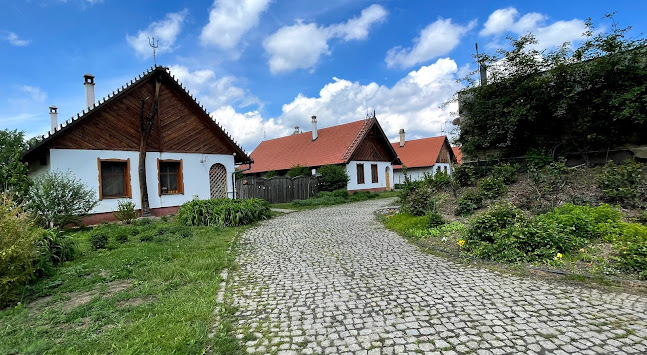 Comentarii opinii despre Virágoskúti Rózsakert Biocsárda