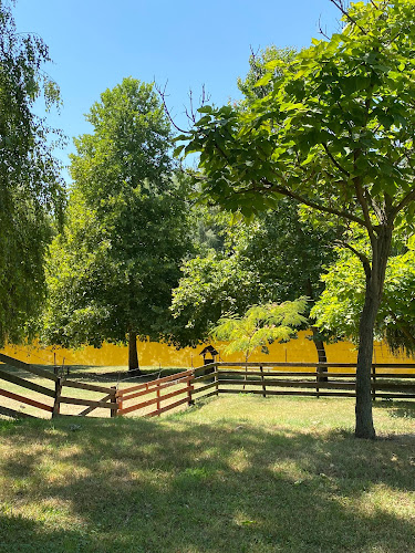 Kecel, Öregpolgárdi utca, 6237