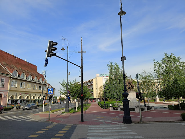 Comentarii opinii despre Placc