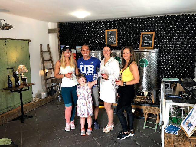 BADIZSON - termelői borkimérés - Vendéglátás