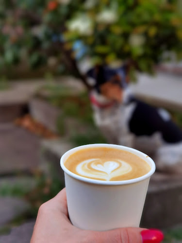 Rokusch - Vendéglátás