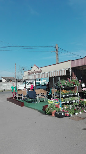 Balmazújváros, Kastélykert u. 6, 4060