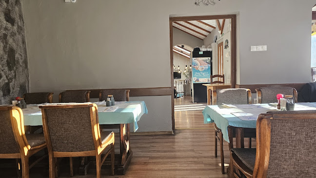 Comentarii opinii despre Trattoria da Matteo