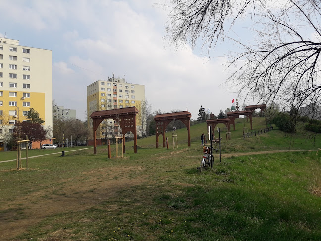 Menü Étterem és Kávézó - Szeged