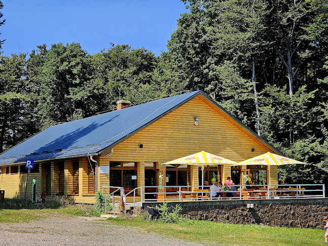 Tető Étterem - Vendéglátás