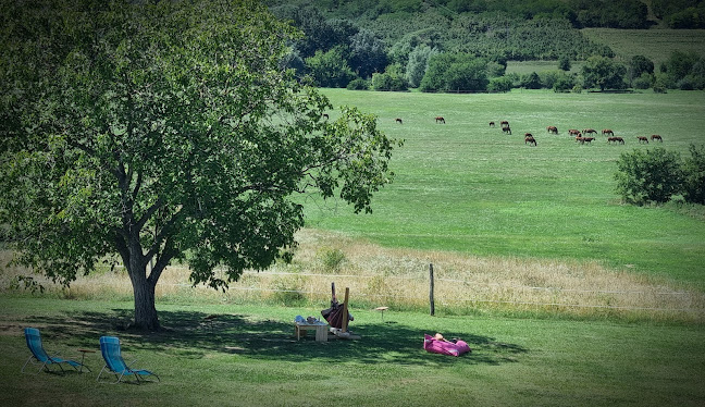 Völgyhíd Kávézó - Vendéglátás