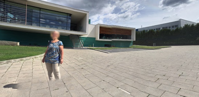 Harrer Csokoládéműhely és Cukrászda - Vendéglátás