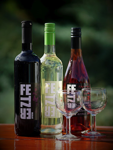 Comentarii opinii despre Fetzer Borház