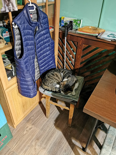 Opinii despre Tarcsányi Italbolt (Marcsi kocsmája) în Kunszentmárton - Vendéglátás